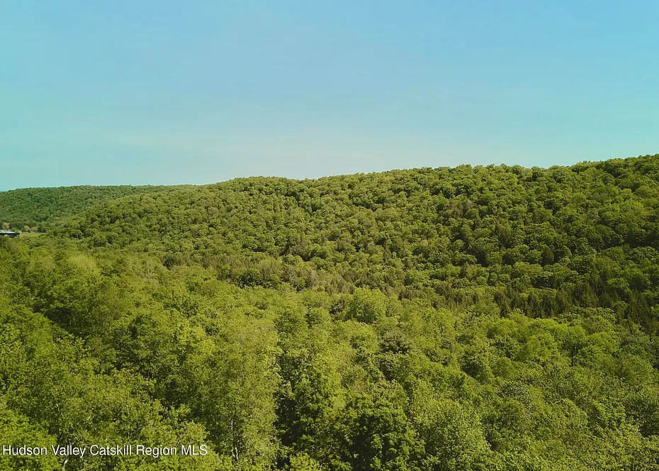 0 Benton Hollow Road Photo 15
