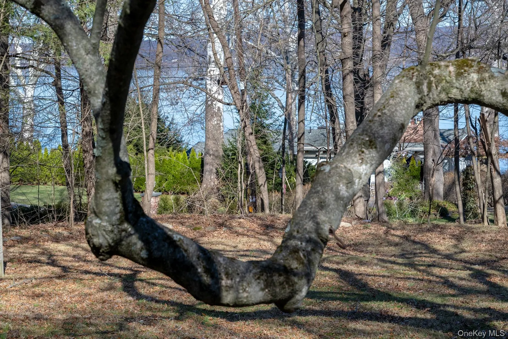 23 Clinton Avenue Photo 34