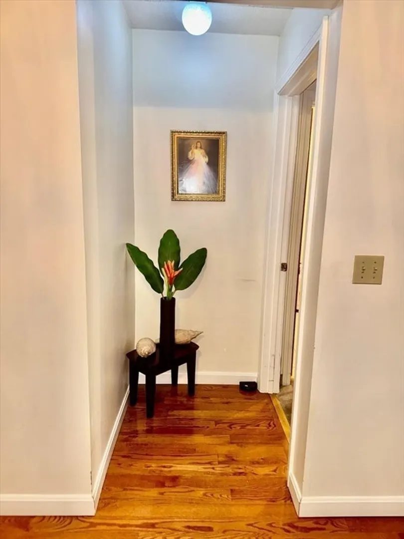 10 Wrentham Rd  #307 Photo 8
