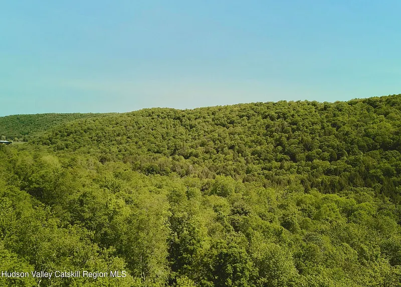 0 Benton Hollow Road Photo 15