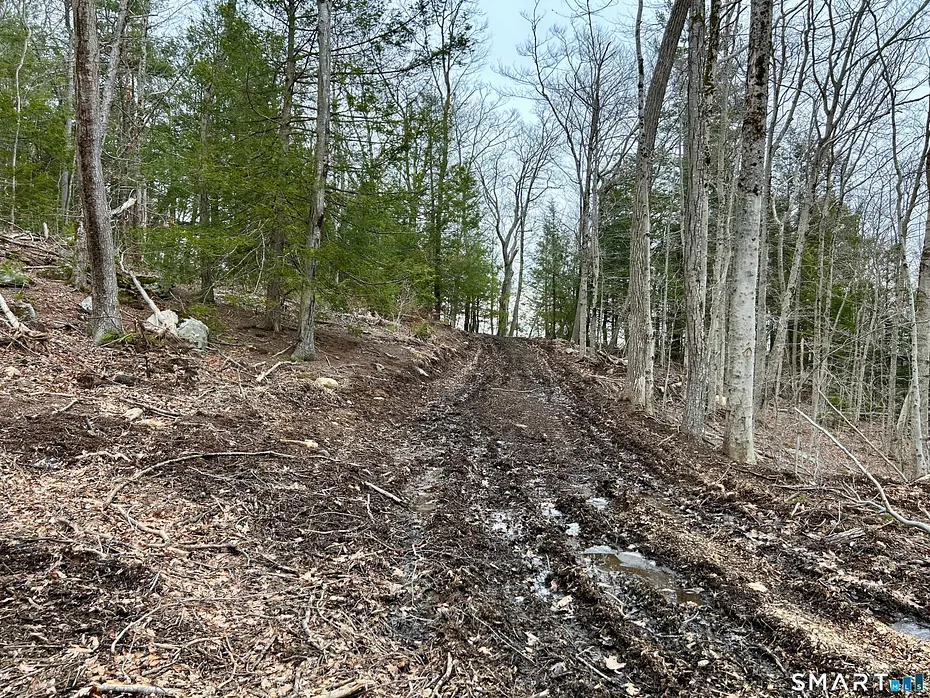 00 Prock Hill Road Photo 16