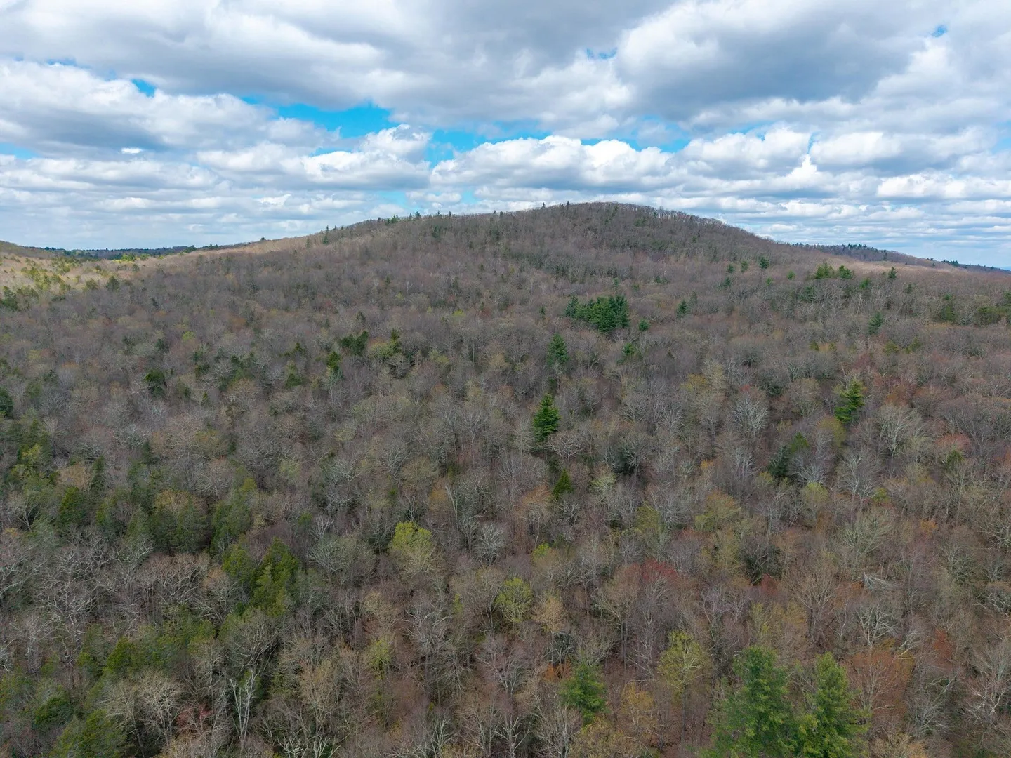 291 Fomer Road Photo 30