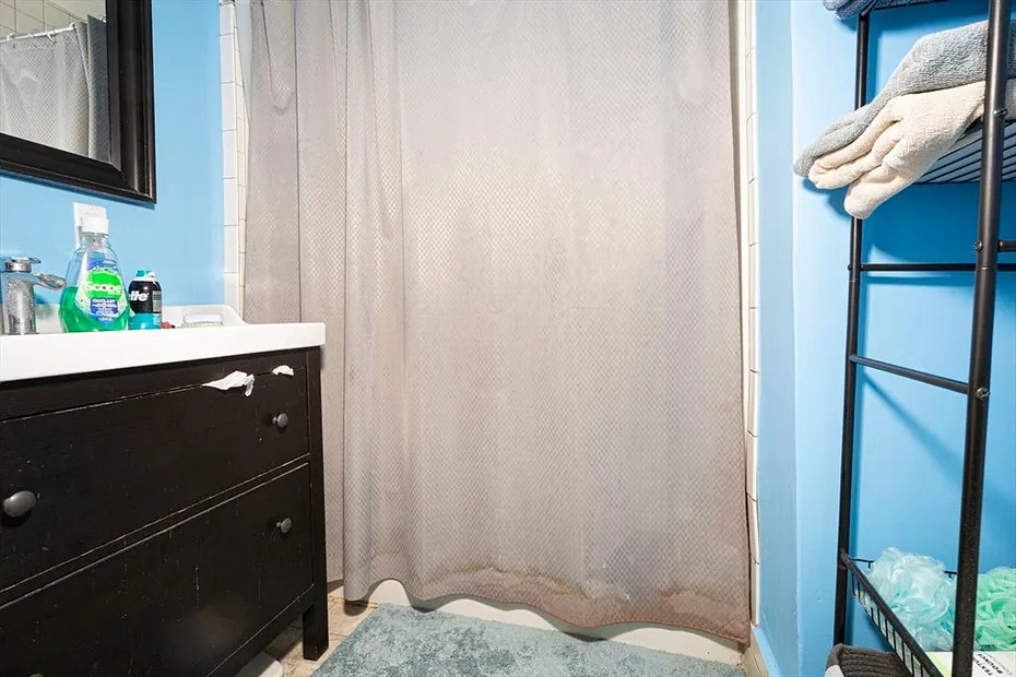 31 Neil  St. Photo 9