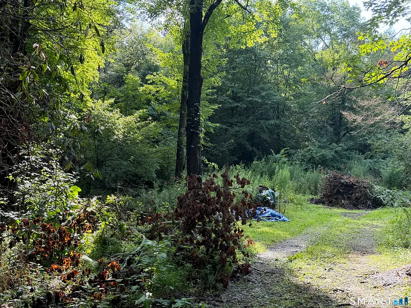 Wheeler Road Photo 5