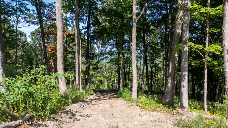 8025 Route 22 Stop 84 Photo 17