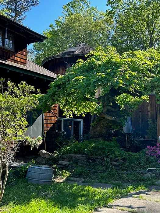 49 South Street Photo 32