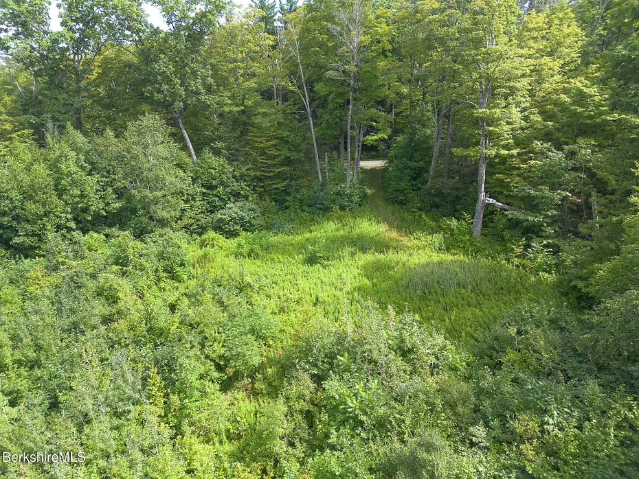 0 Mount Hunger Rd Photo 8