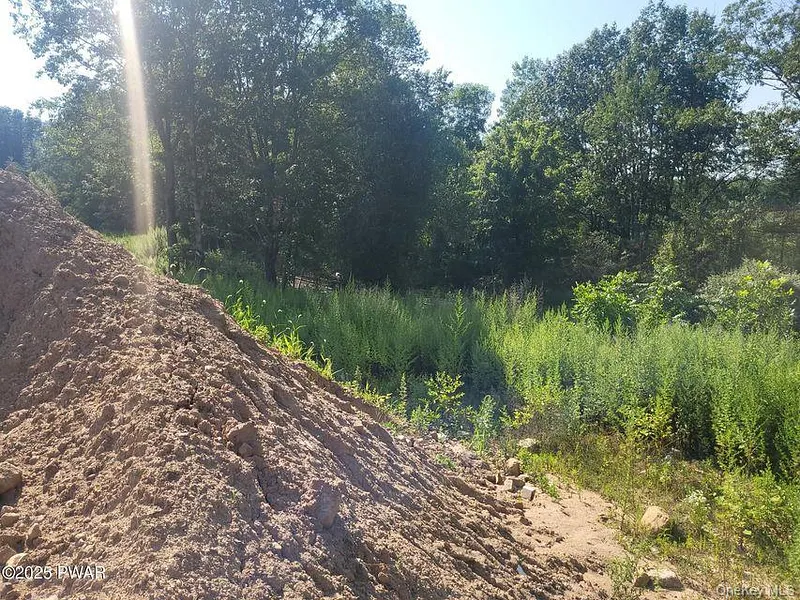 592 Mount Bethel Highway Photo 16