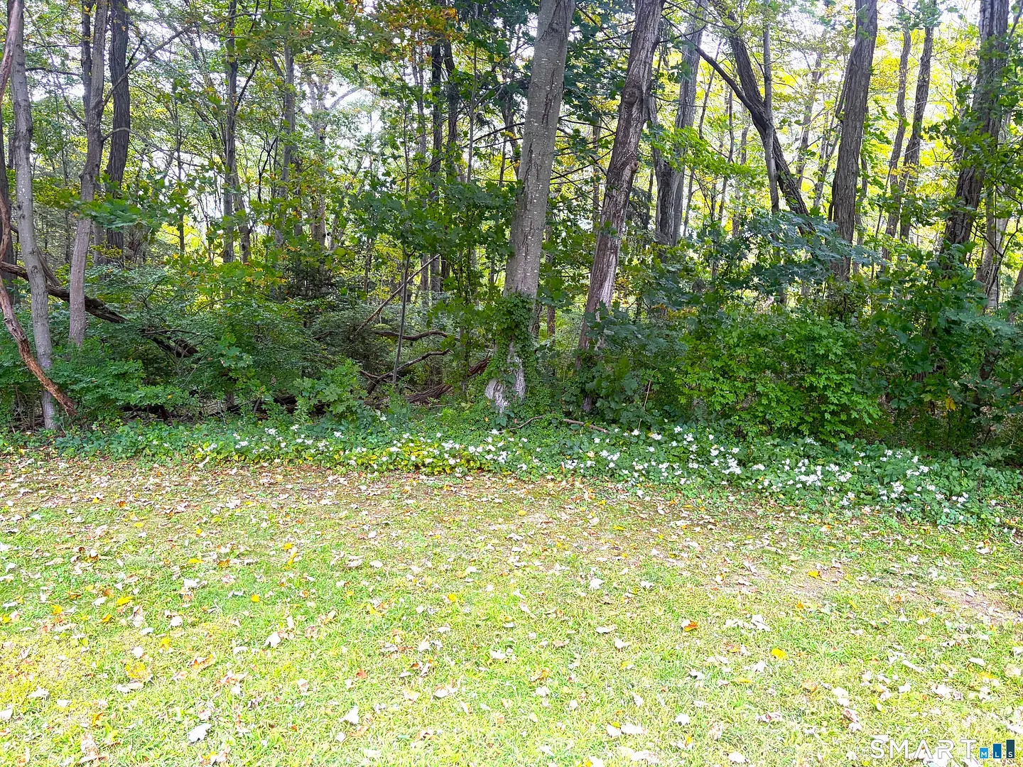 391 Main Street  #207 Photo 7