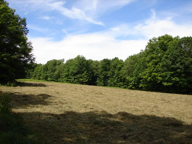 Lot 5 Milton Road Photo 12