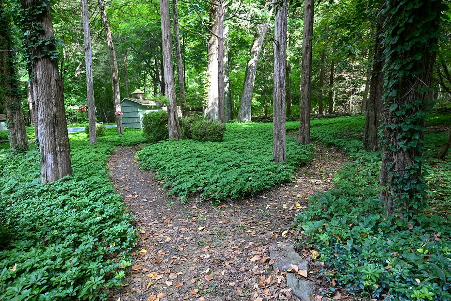 40 Oleson Drive Photo 29