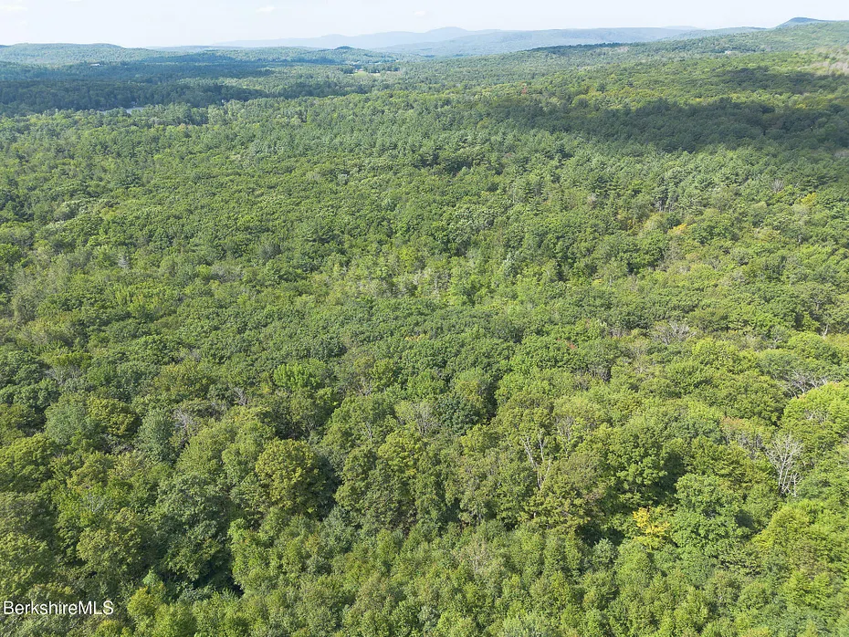 0 Mount Hunger Rd Photo 13