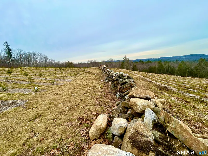 00 Prock Hill Road Photo 21