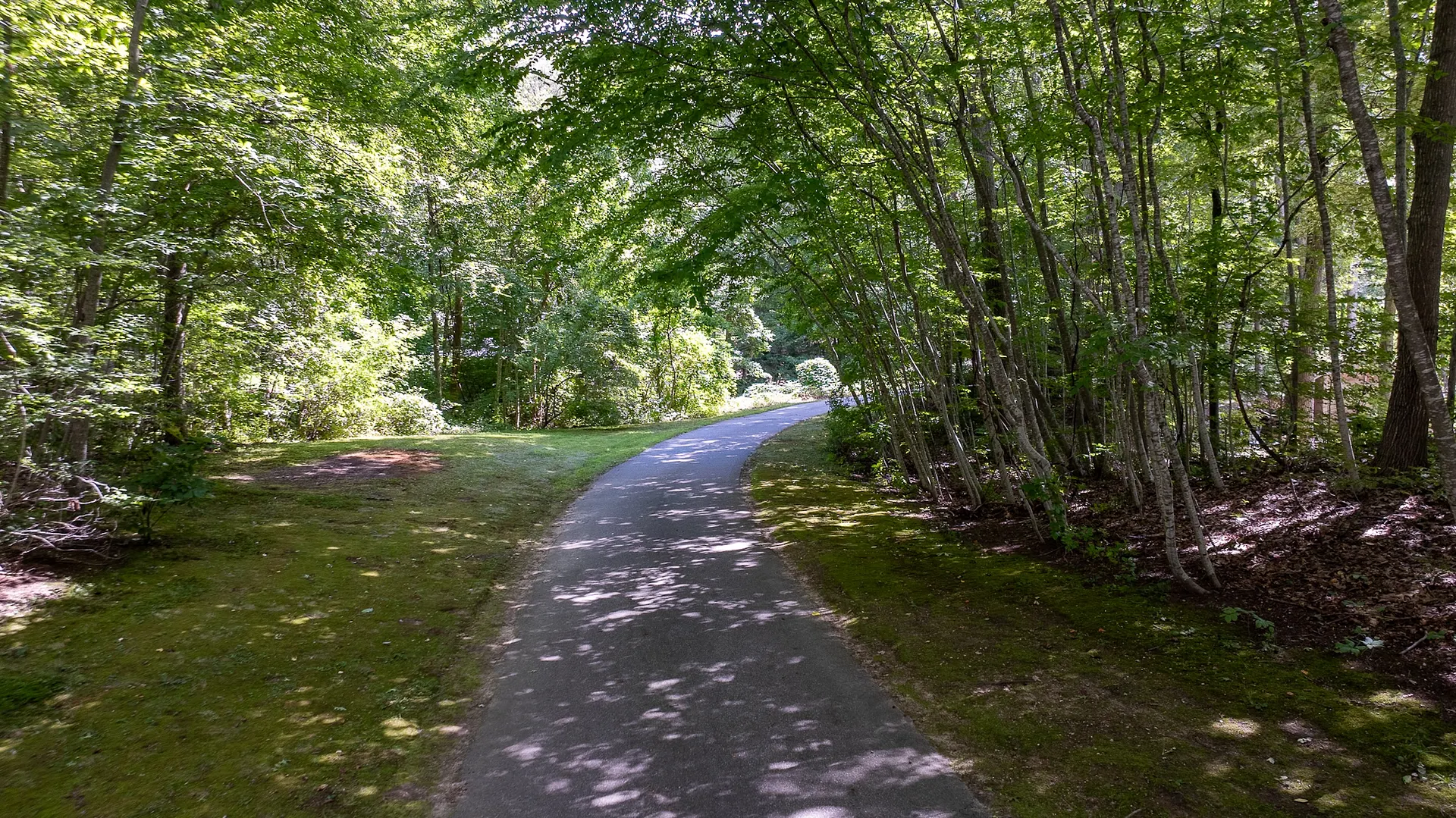98 Dean Road Photo 36