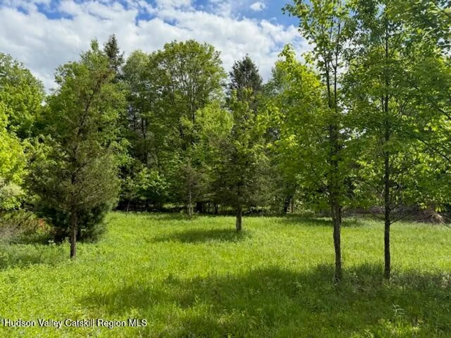 0 Van Etten Road Photo 8