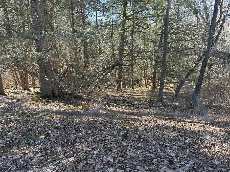 0 Newcomb Road Photo 2