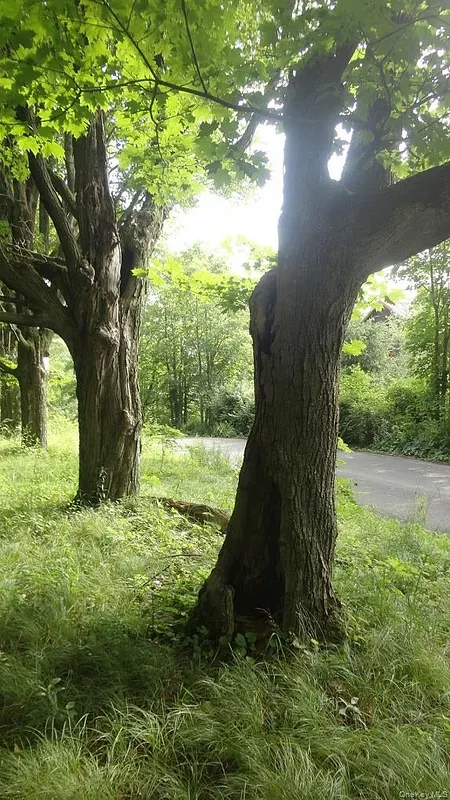 Henry Road Photo 12