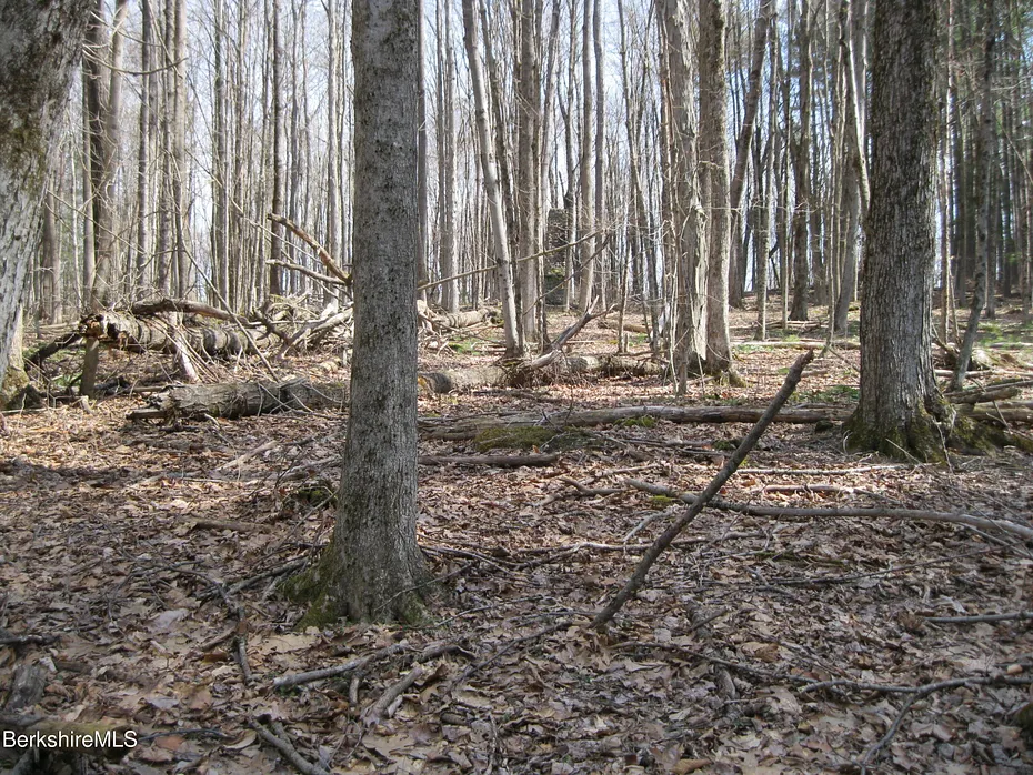 0 Mohawk Lake Rd Photo 4