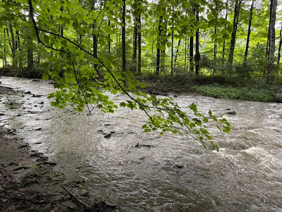 11 Green River Road Photo 37