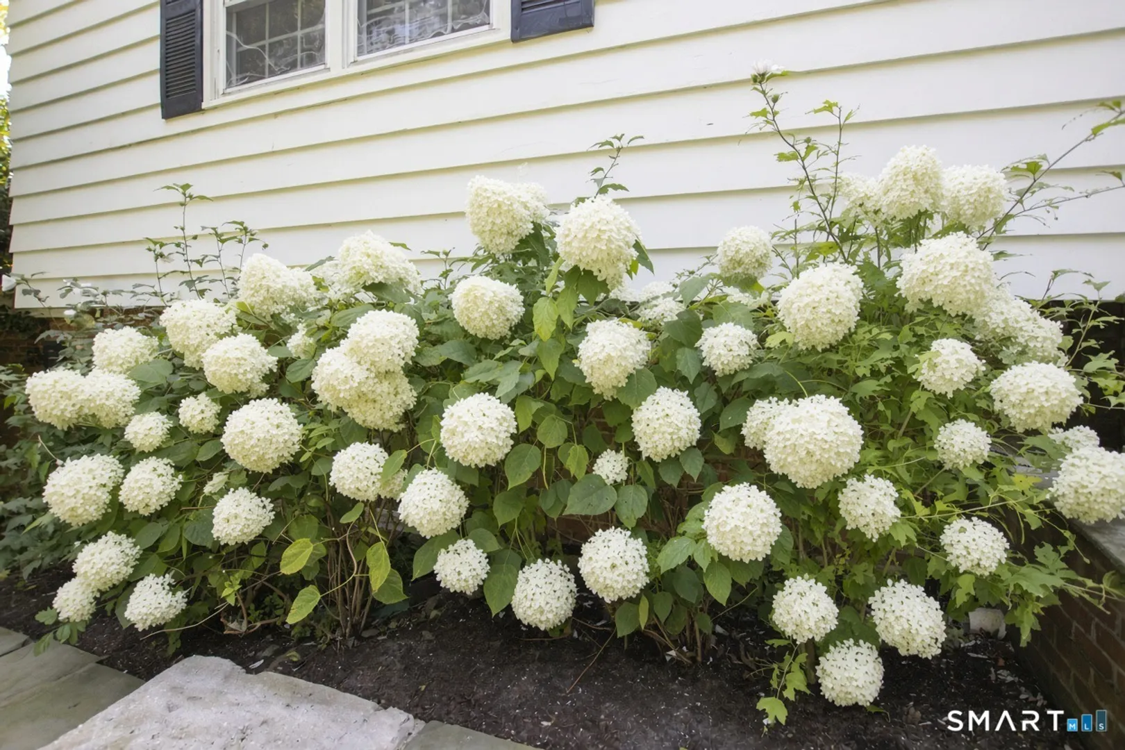 10 Blackberry Lane Photo 2