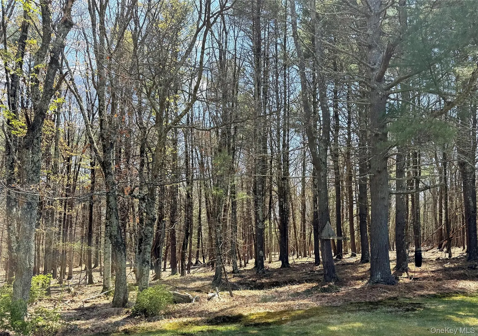 Lot 20.8 Airport Road Photo 3