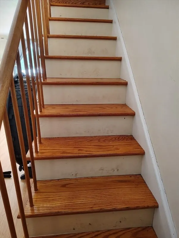 301 Neponset Street #6 Photo 8