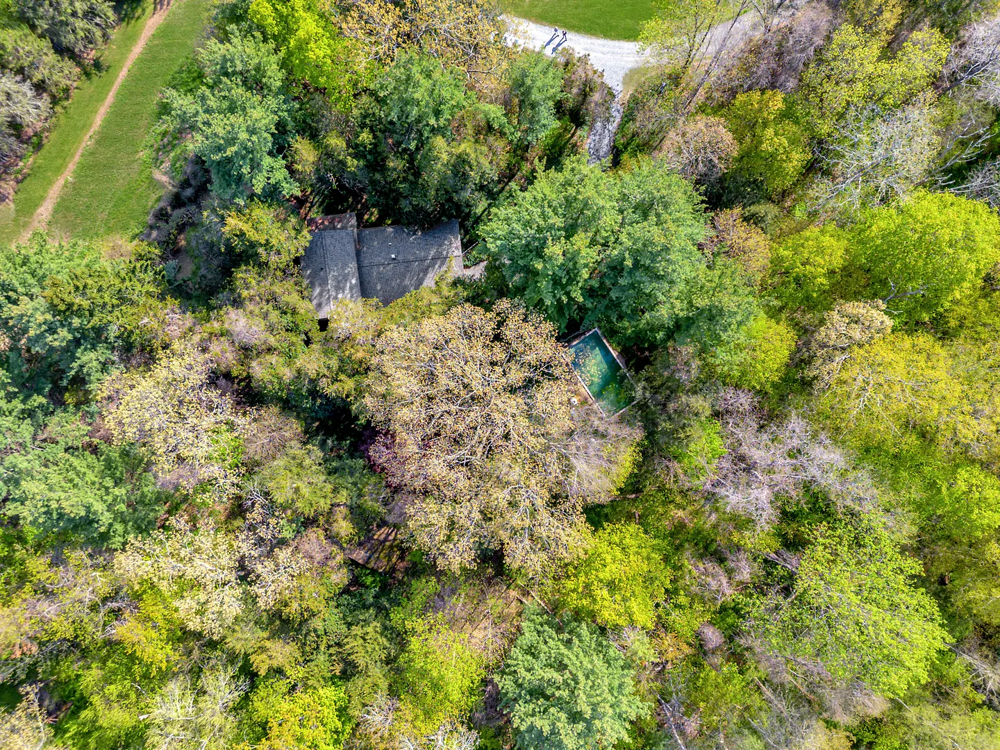 40 Oleson Drive Photo 4
