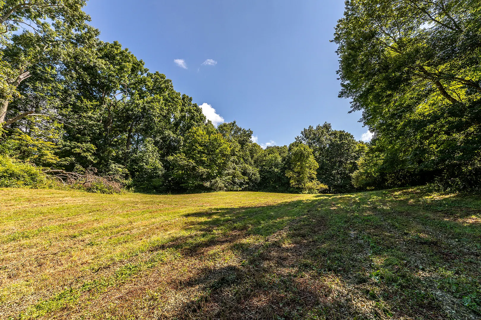 631 South Plains Road Photo 9