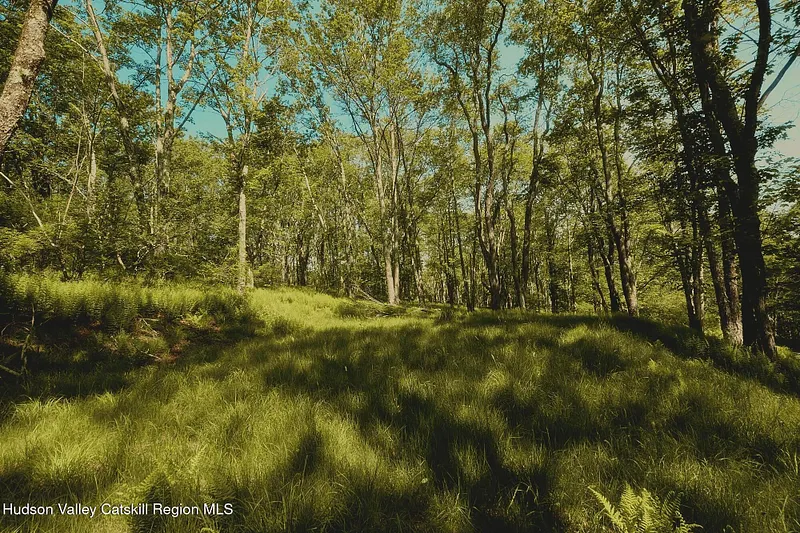 0 Benton Hollow Road Photo 4