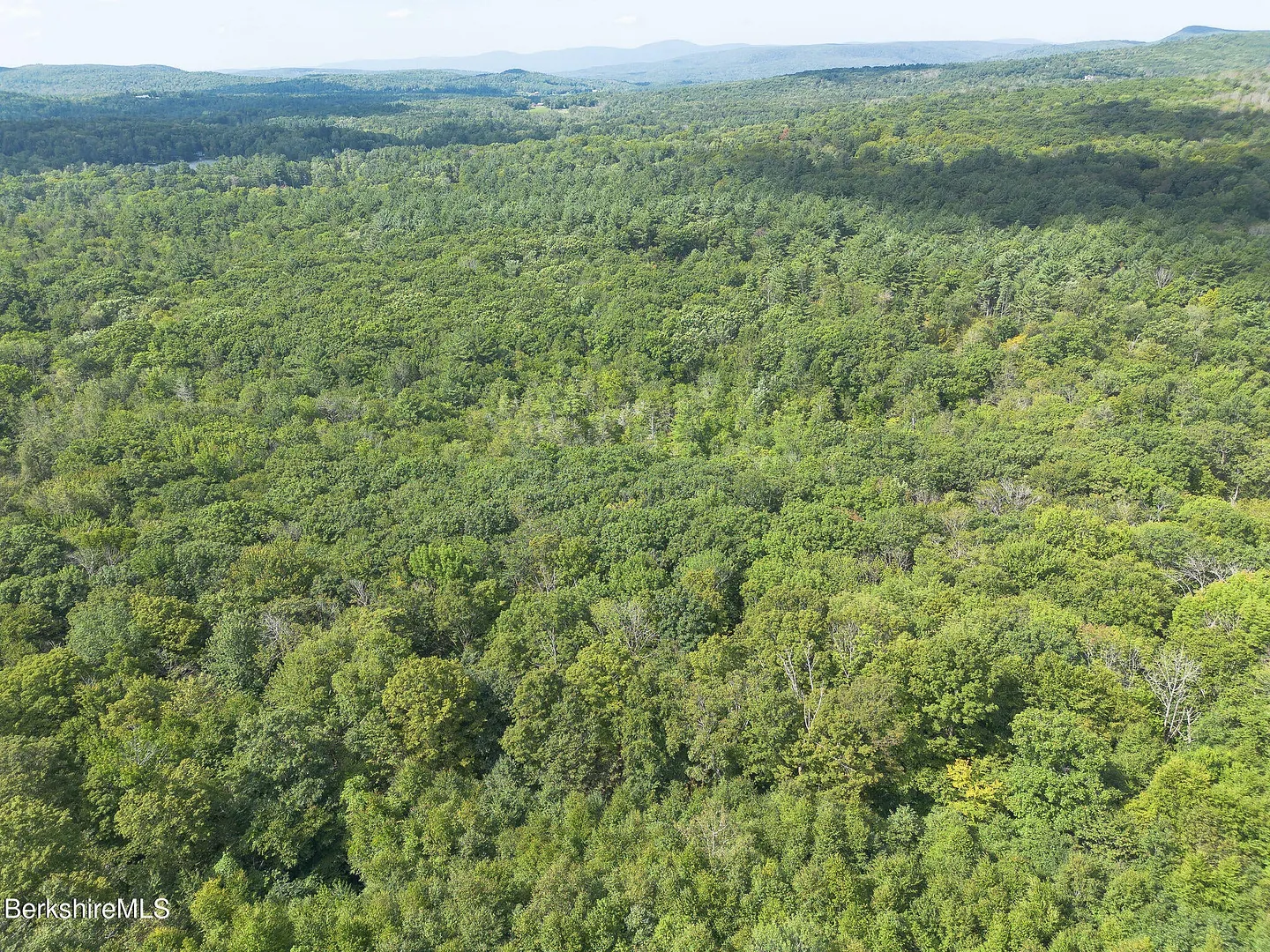 0 Mount Hunger Rd Photo 13