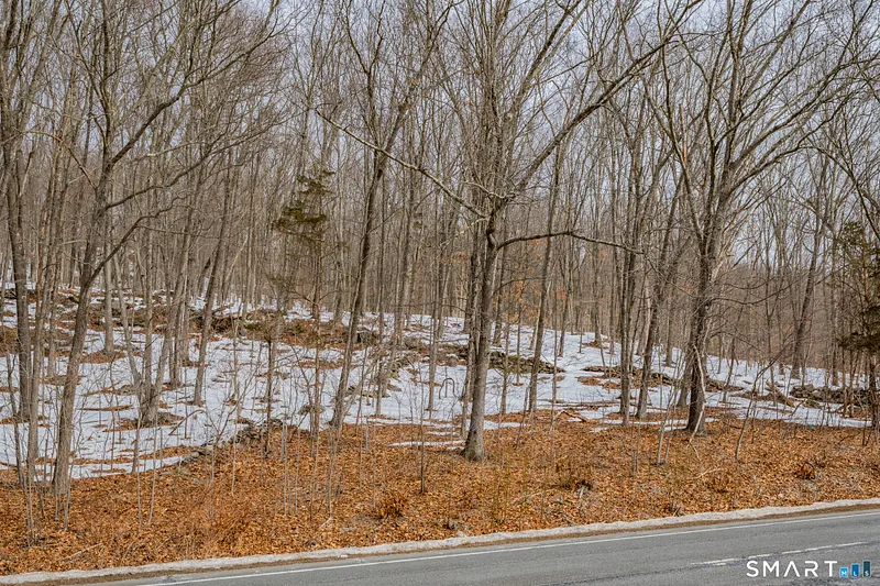 Frost Bridge Road Photo 26