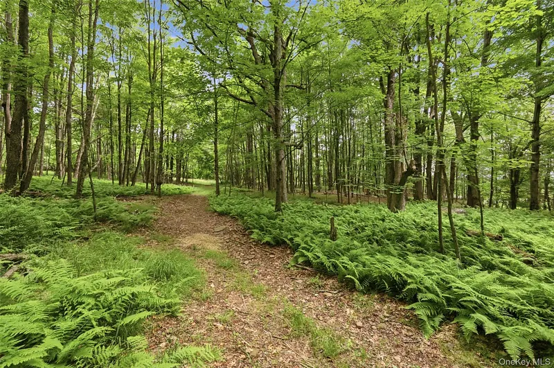 115 Cold Spring Road Photo 25