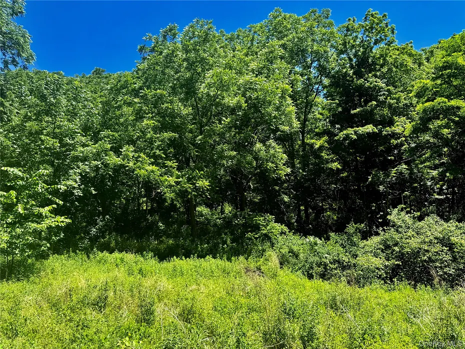 513 Rossway Road Photo 4