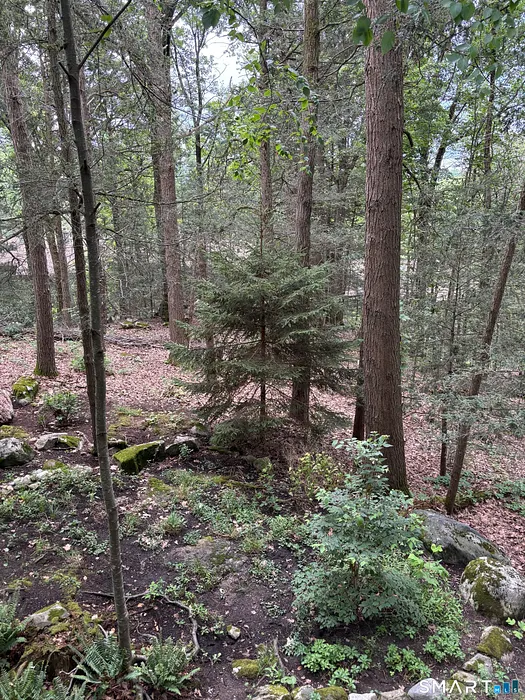 282 Cliffside Drive #282 Photo 14