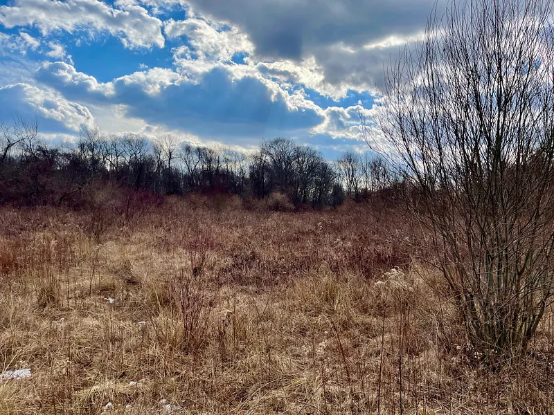 523 Voluntown Road Photo 5