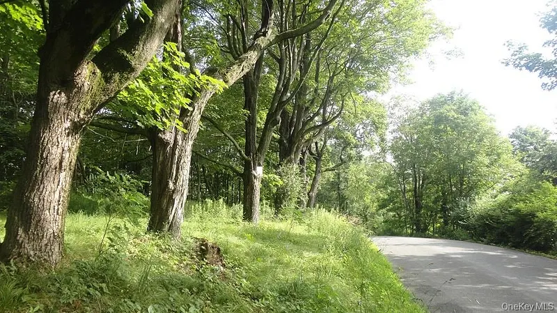 Henry Road Photo 1
