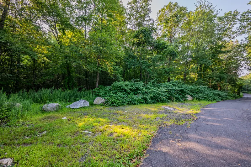 Frost Bridge Road Photo 3