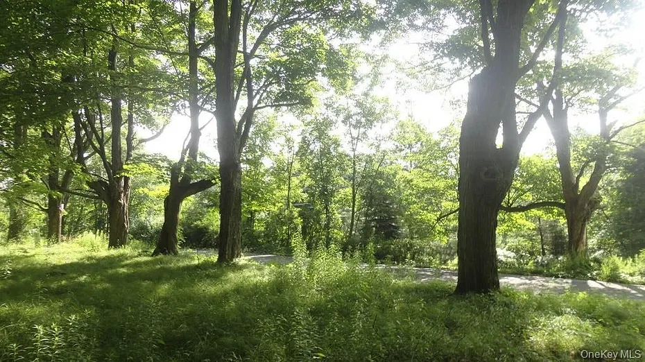 Henry Road Photo 9