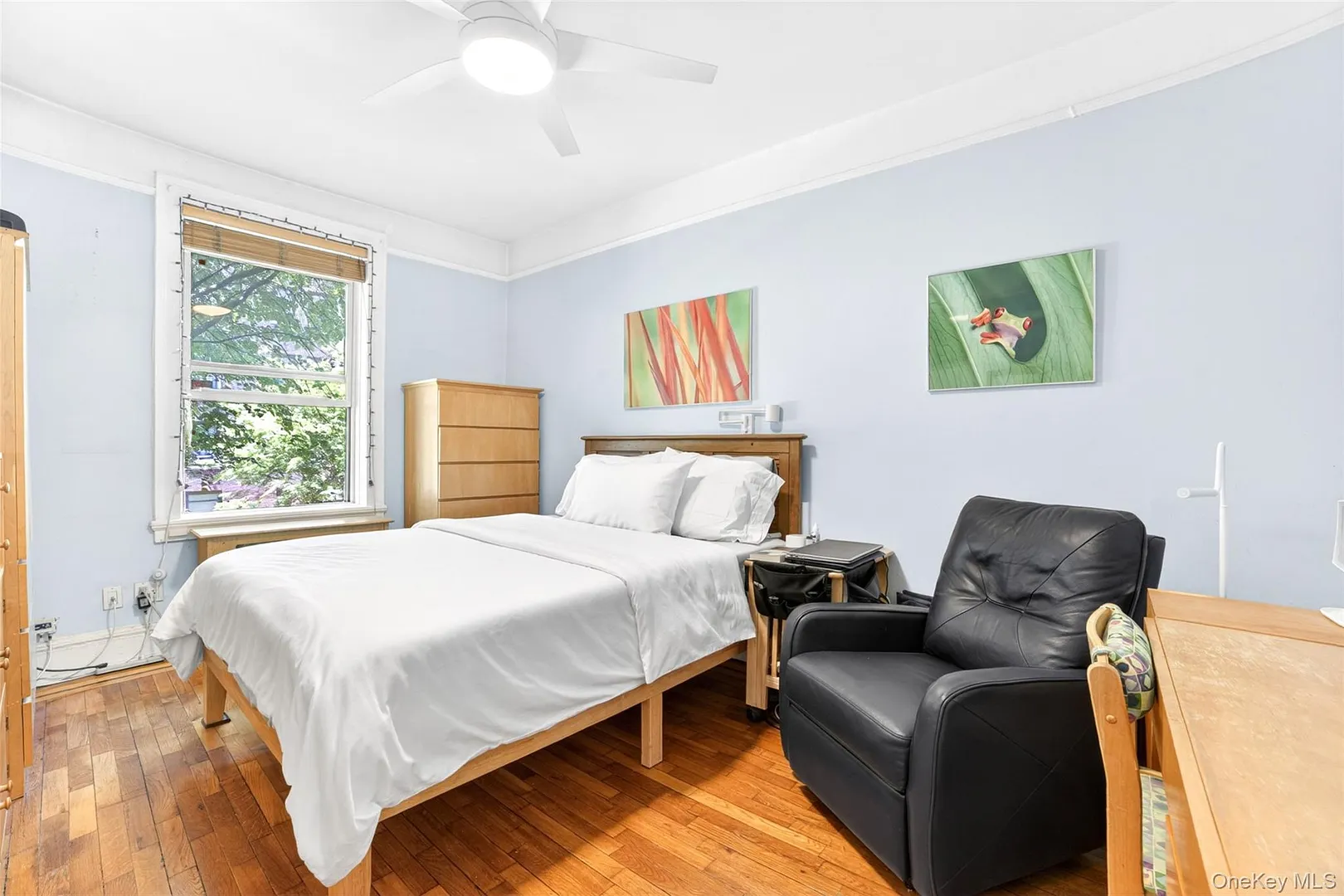 37-32 80th Street  #1 Photo 38
