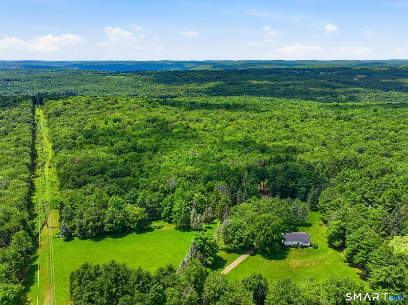 385 Cotton Hill Road Photo 37