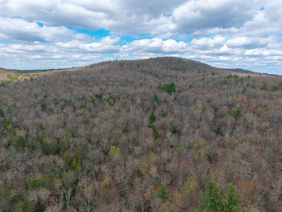 291 Fomer Road Photo 30