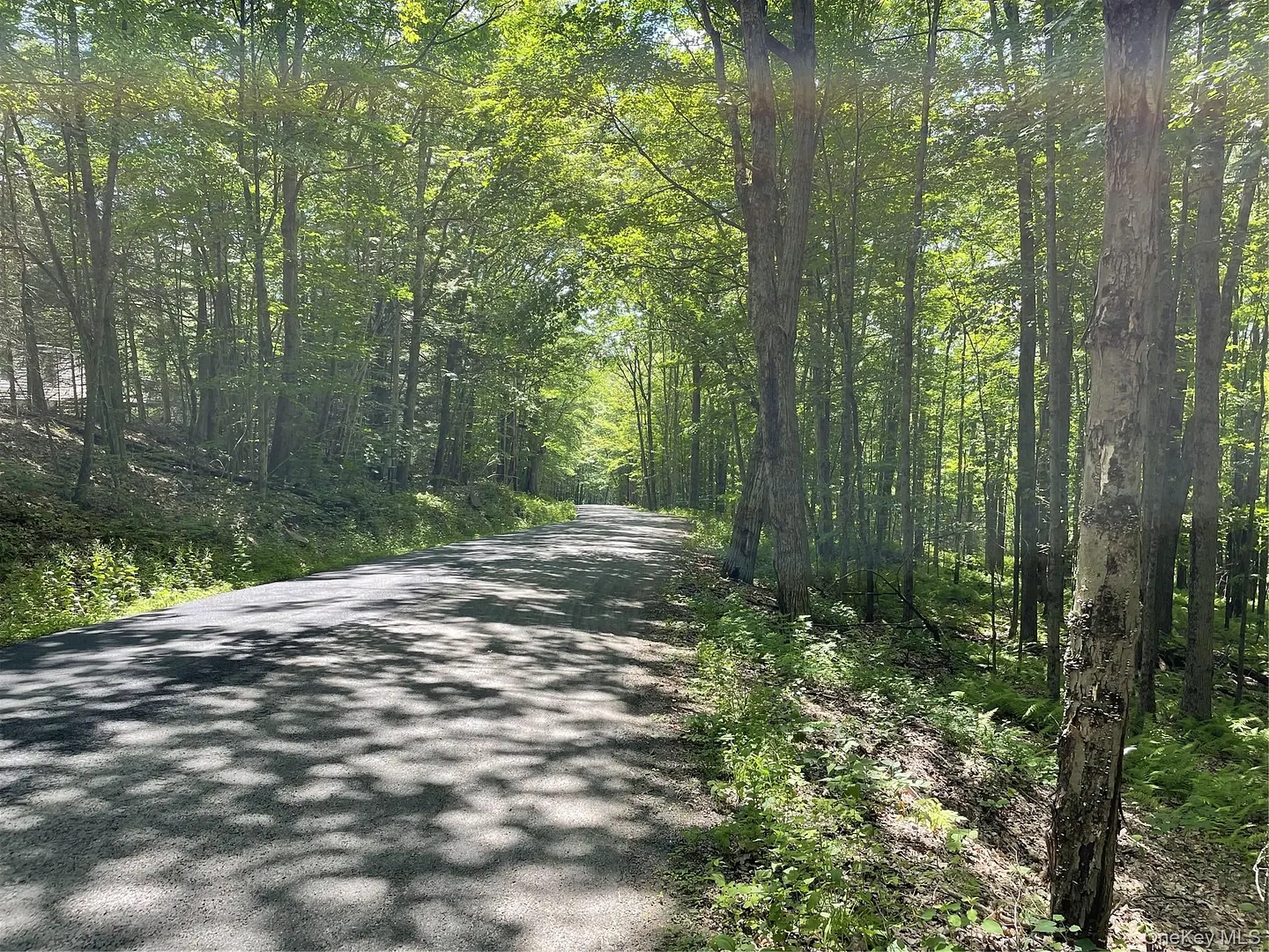 Skip Gray Road Photo 2