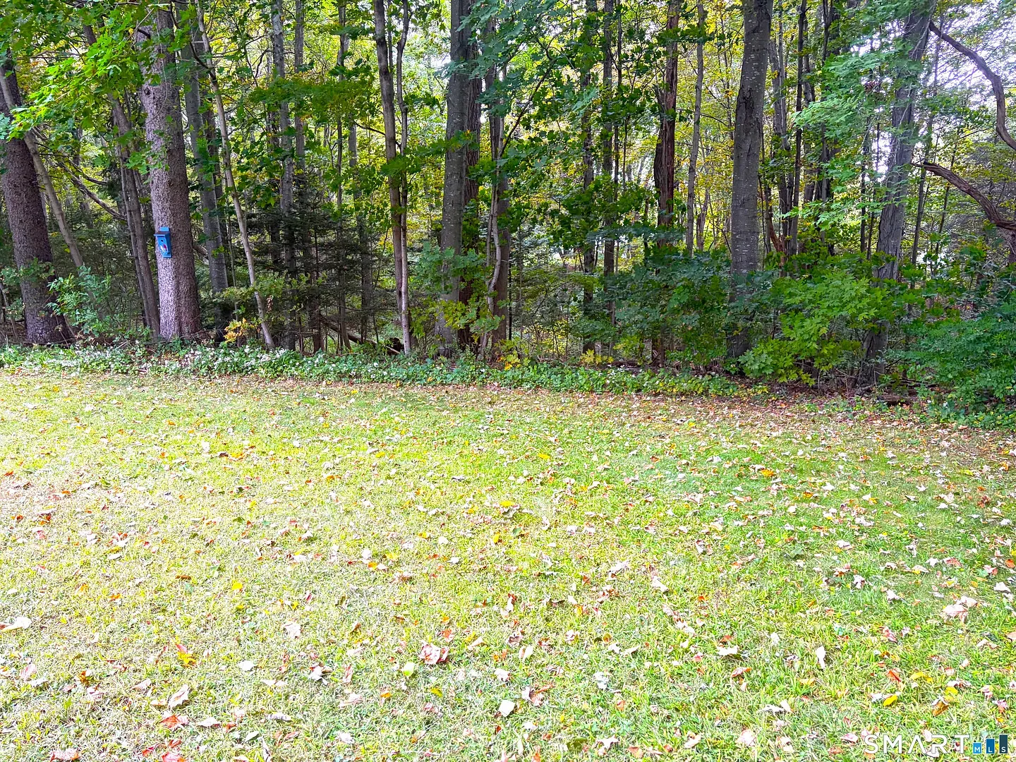 391 Main Street  #207 Photo 5