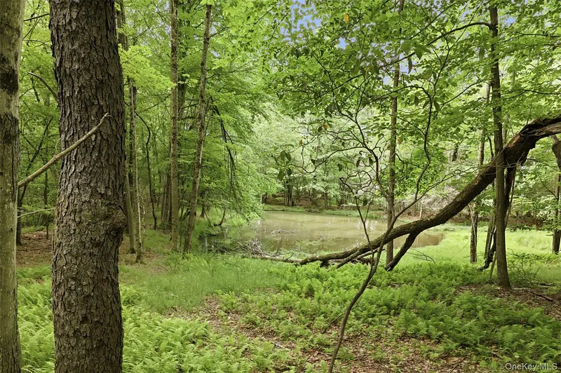 115 Cold Spring Road Photo 26