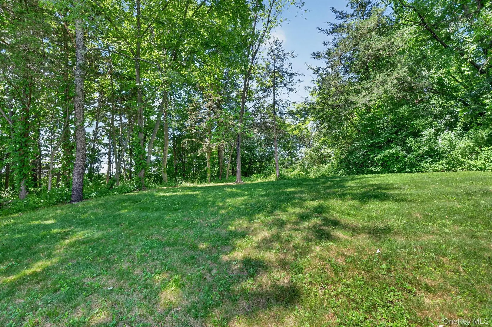 21 Crest Court Photo 45