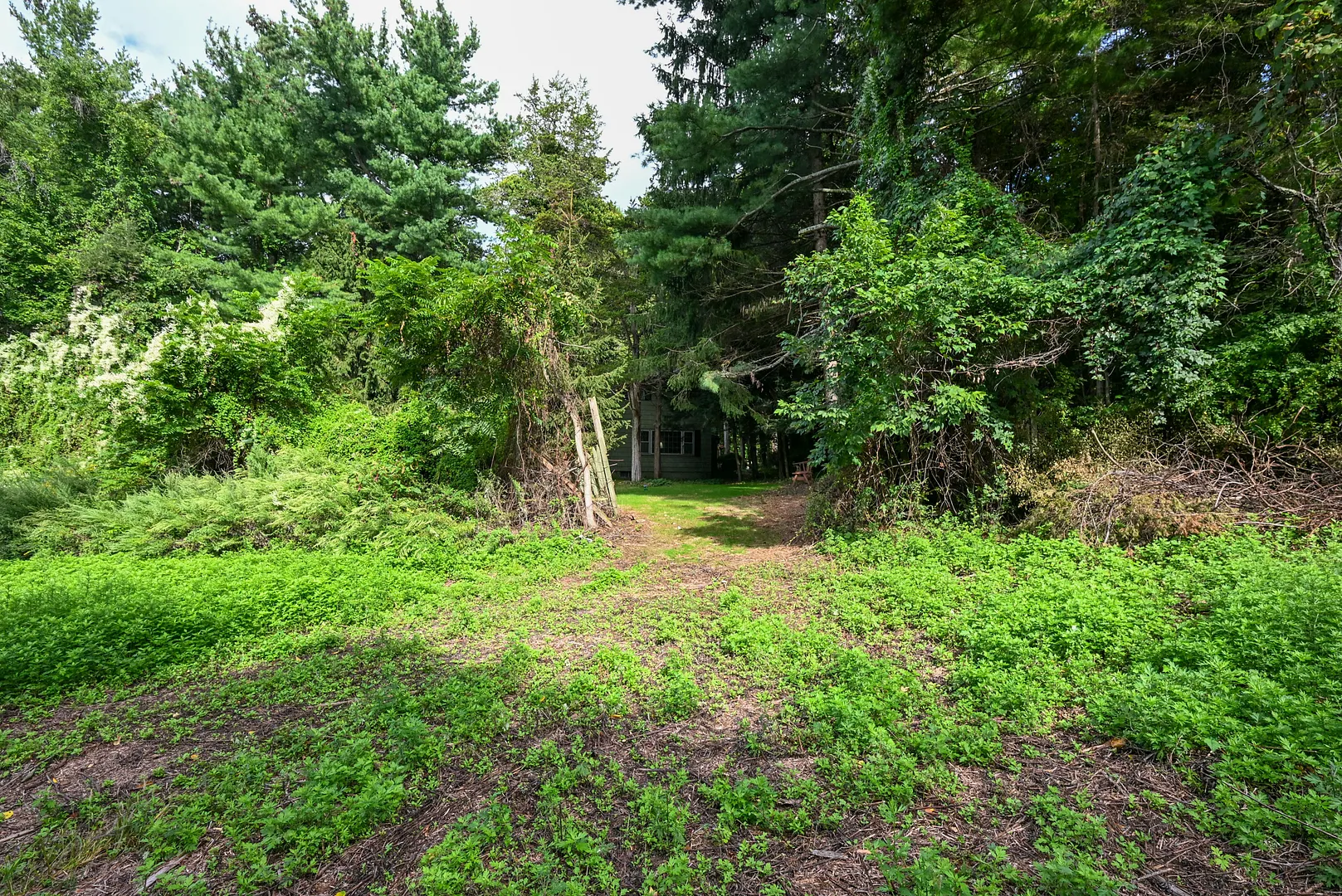 40 Oleson Drive Photo 31