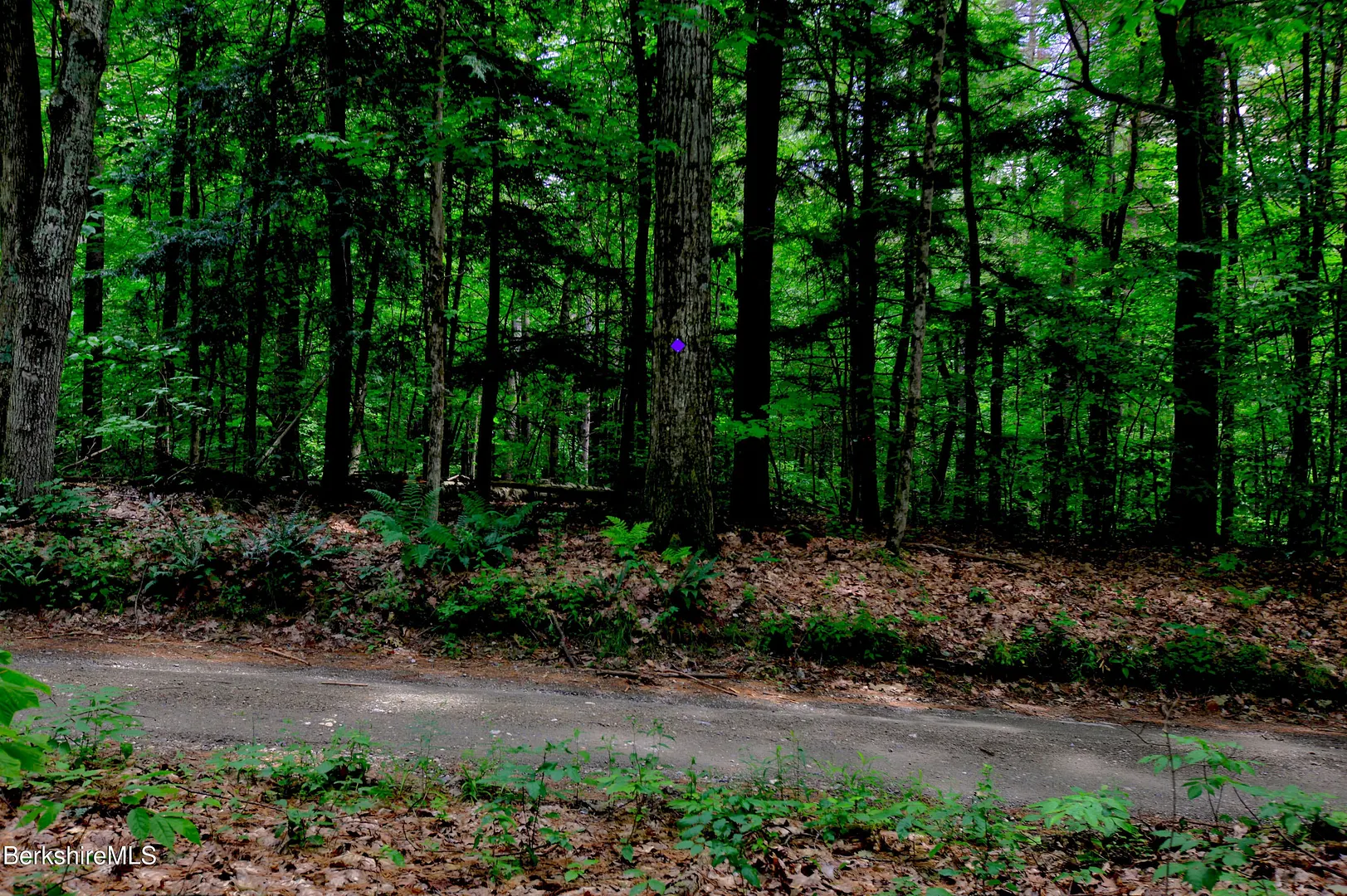66 Scott Rd Photo 15