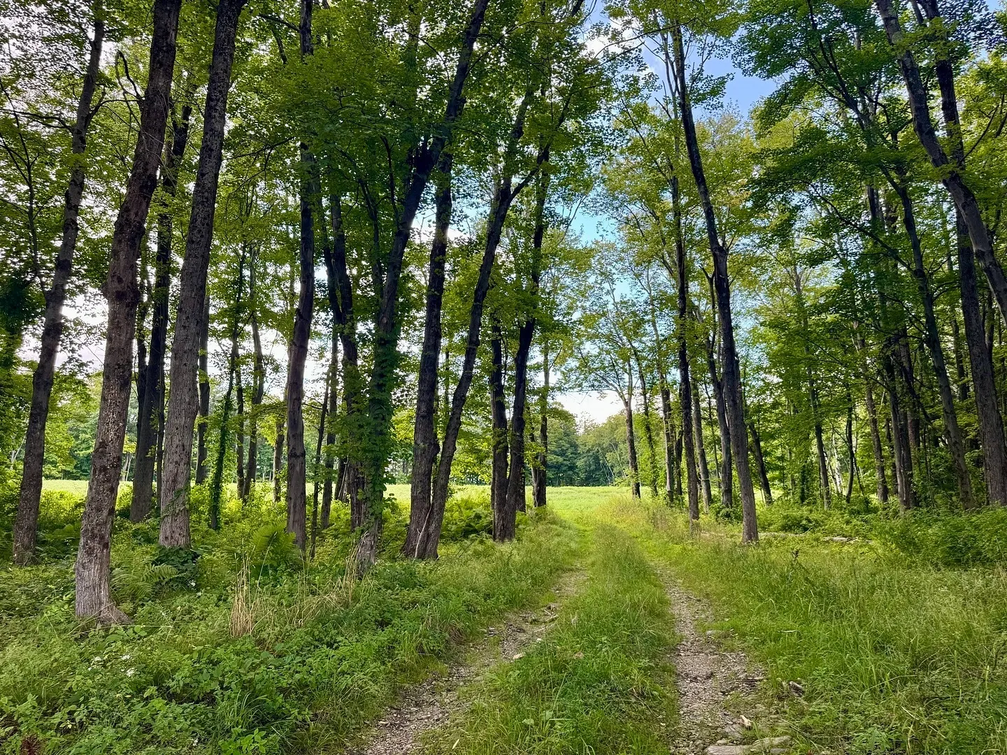 54 Patten Road Photo 39