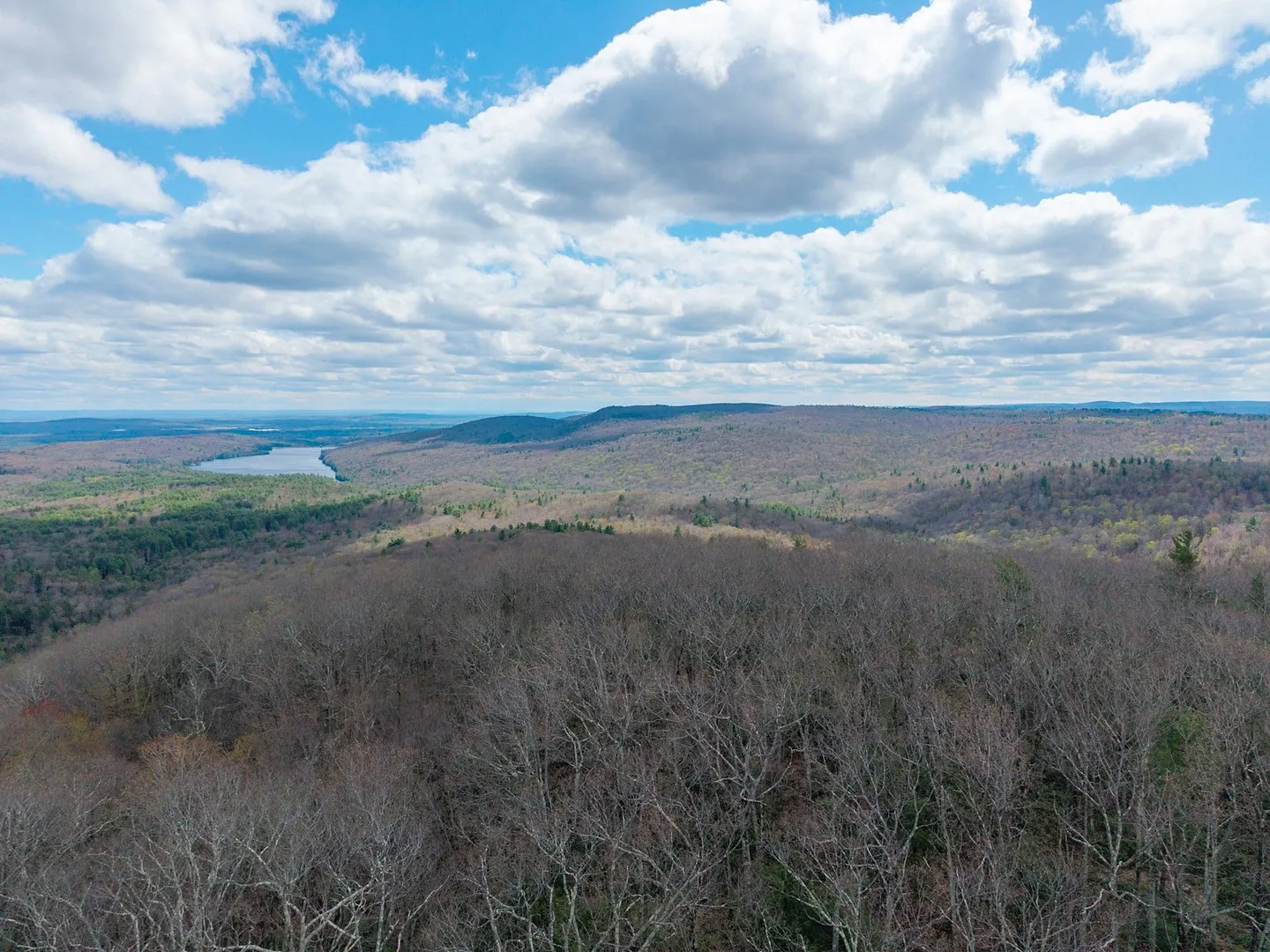 291 Fomer Road Photo 26