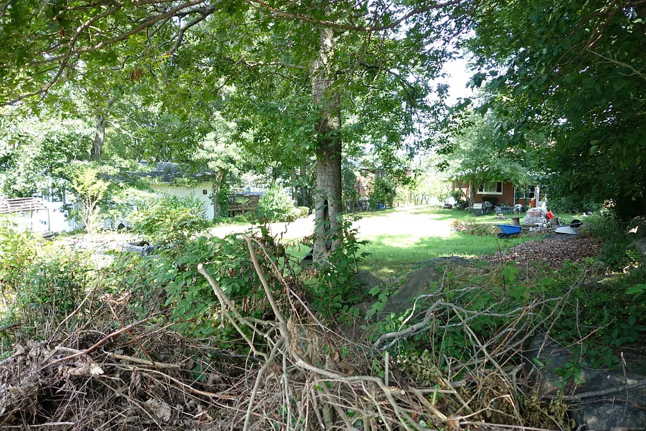 Miller Street Photo 4